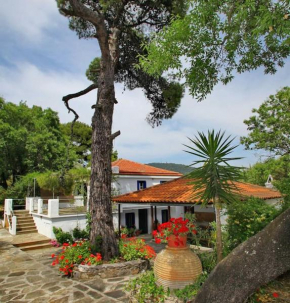 Skopelos Panormos Vassilios Cottage